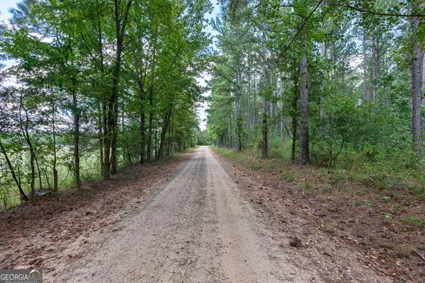 Lexington, GA 30648,0 Paradise Hogan RD