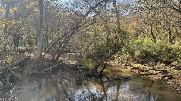 Elberton, GA 30635,TRACT 1 SOUTH Ruckersville RD