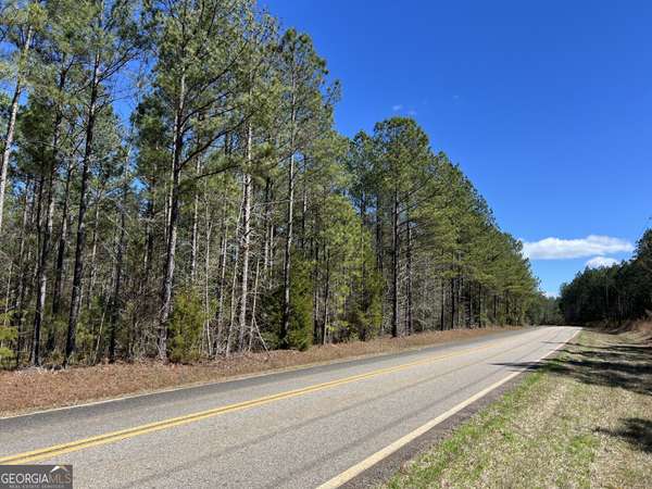 TRACT O1 Hulmes Chapel RD, Elberton, GA 30635