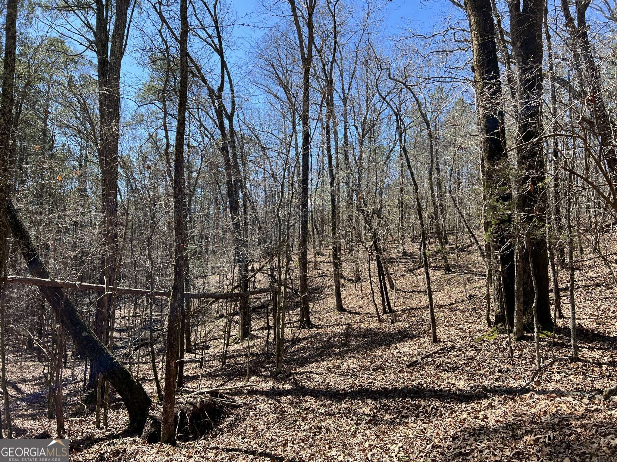 Elberton, GA 30635,TRACT B1 Hulmes Chapel RD