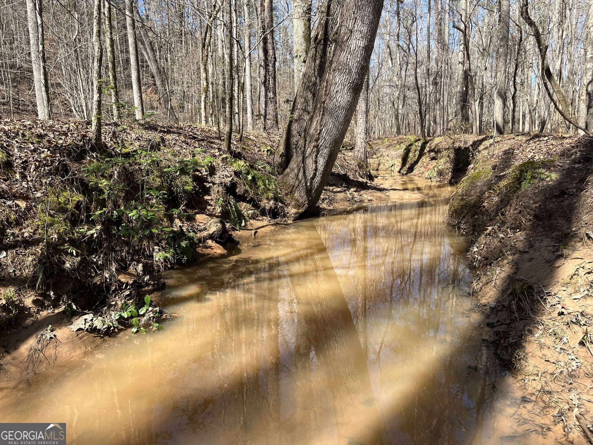Elberton, GA 30635,TRACT R4 Hulmes Chapel RD
