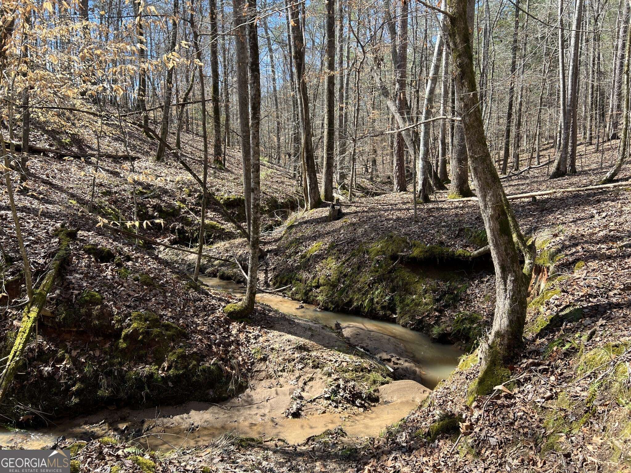 Elberton, GA 30635,TRACT B3 Hulmes Chapel RD