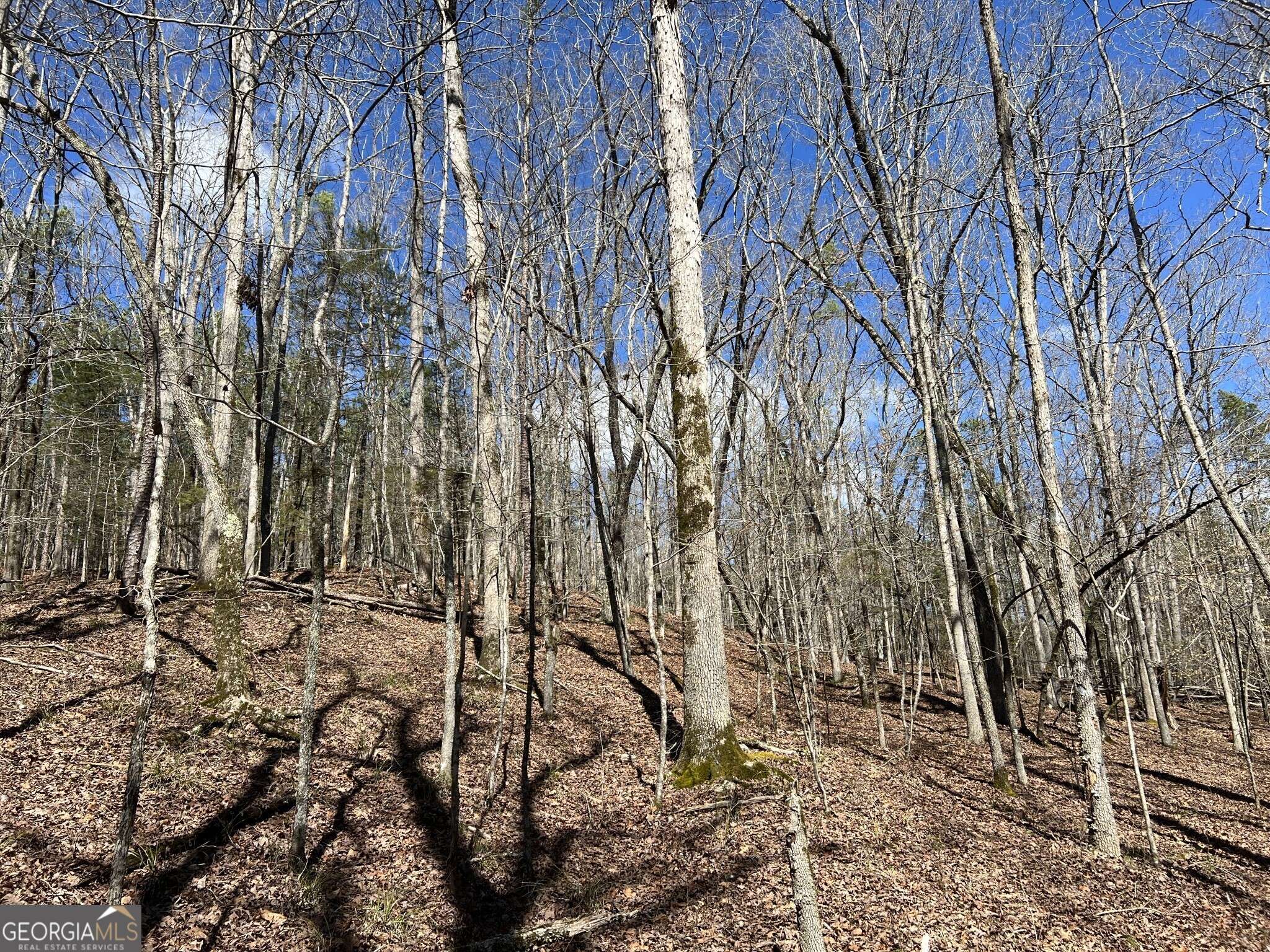 Elberton, GA 30635,TRACT B3 Hulmes Chapel RD