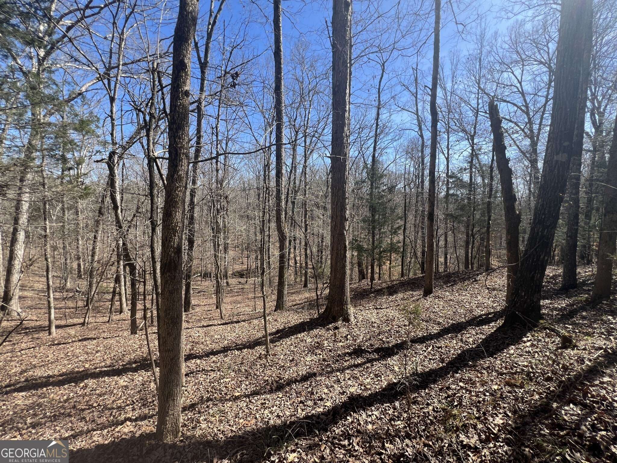 Elberton, GA 30635,TRACT G1 Harley Rucker RD