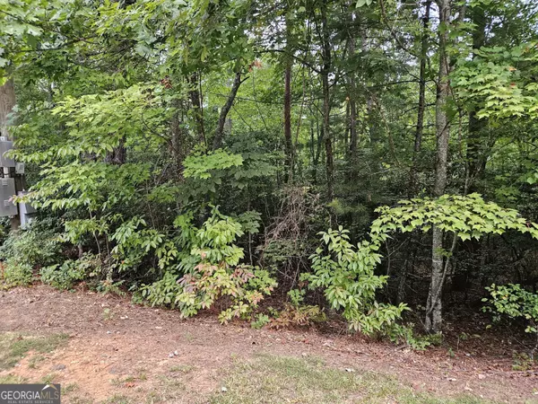 0 Fischer Strasse #LOT 20, Helen, GA 30545