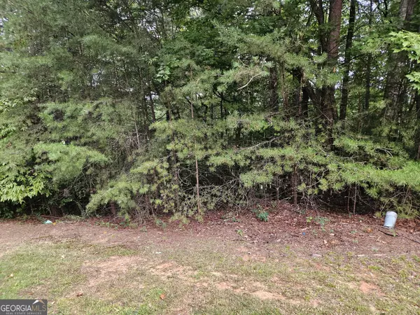 0 Fischer Strasse #LOT 83, Helen, GA 30545