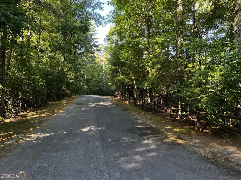 LOT 17 CROCKETT Laurel Creek TRL, Cherry Log, GA 30522