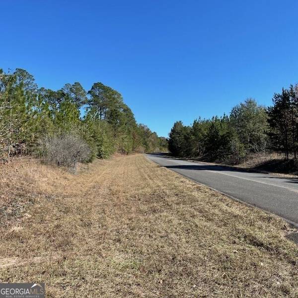 40+/- ACRES Pineville, Buena Vista, GA 31803