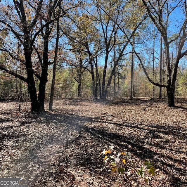 Buena Vista, GA 31803,100+/- ACRES Pineville RD