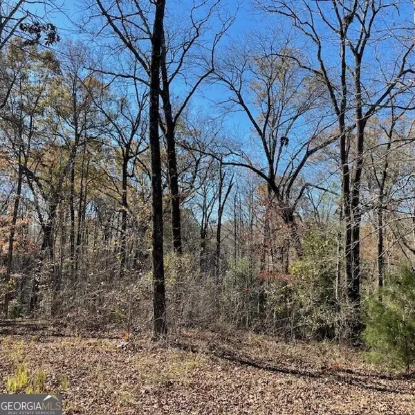 Buena Vista, GA 31803,50+/- ACRES Pineville RD