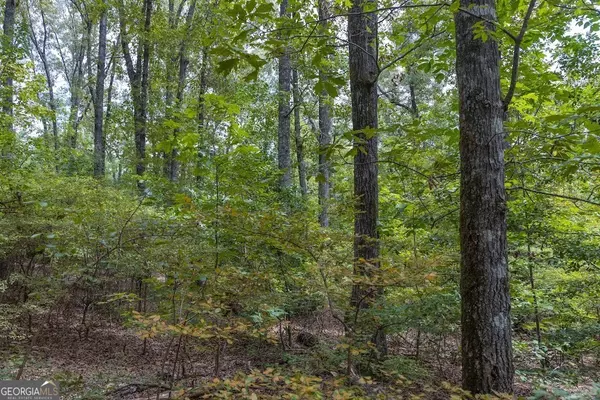 50+/- ACRES Pineville, Buena Vista, GA 31803