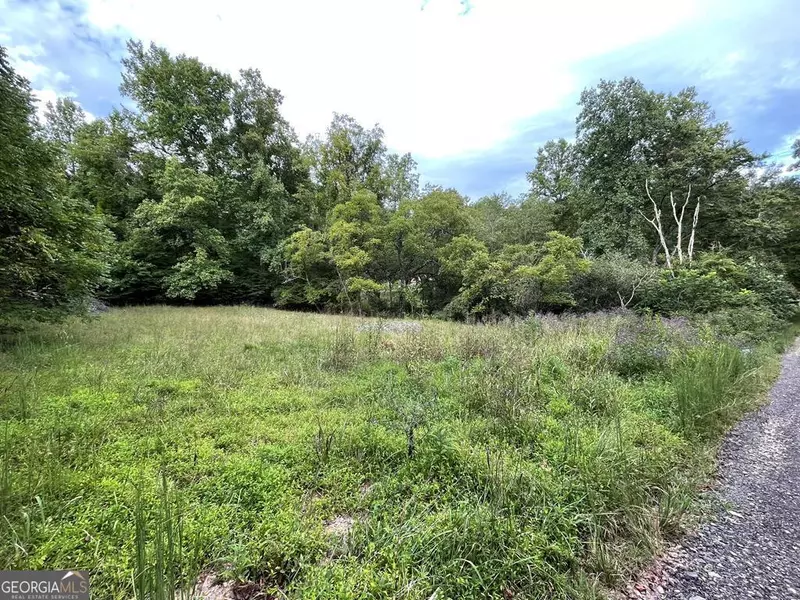 LOT 9 Sharons Way, Hayesville, NC 28904