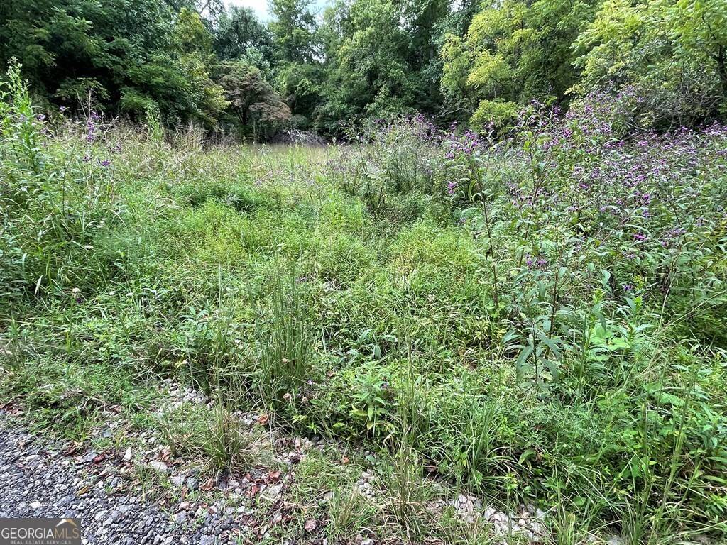 Hayesville, NC 28904,LOT 9 Sharons Way
