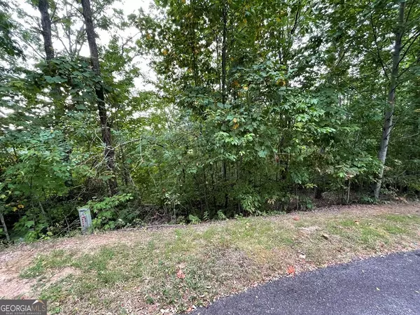 Hayesville, NC 28904,LOT 32 J Mountain Harbour