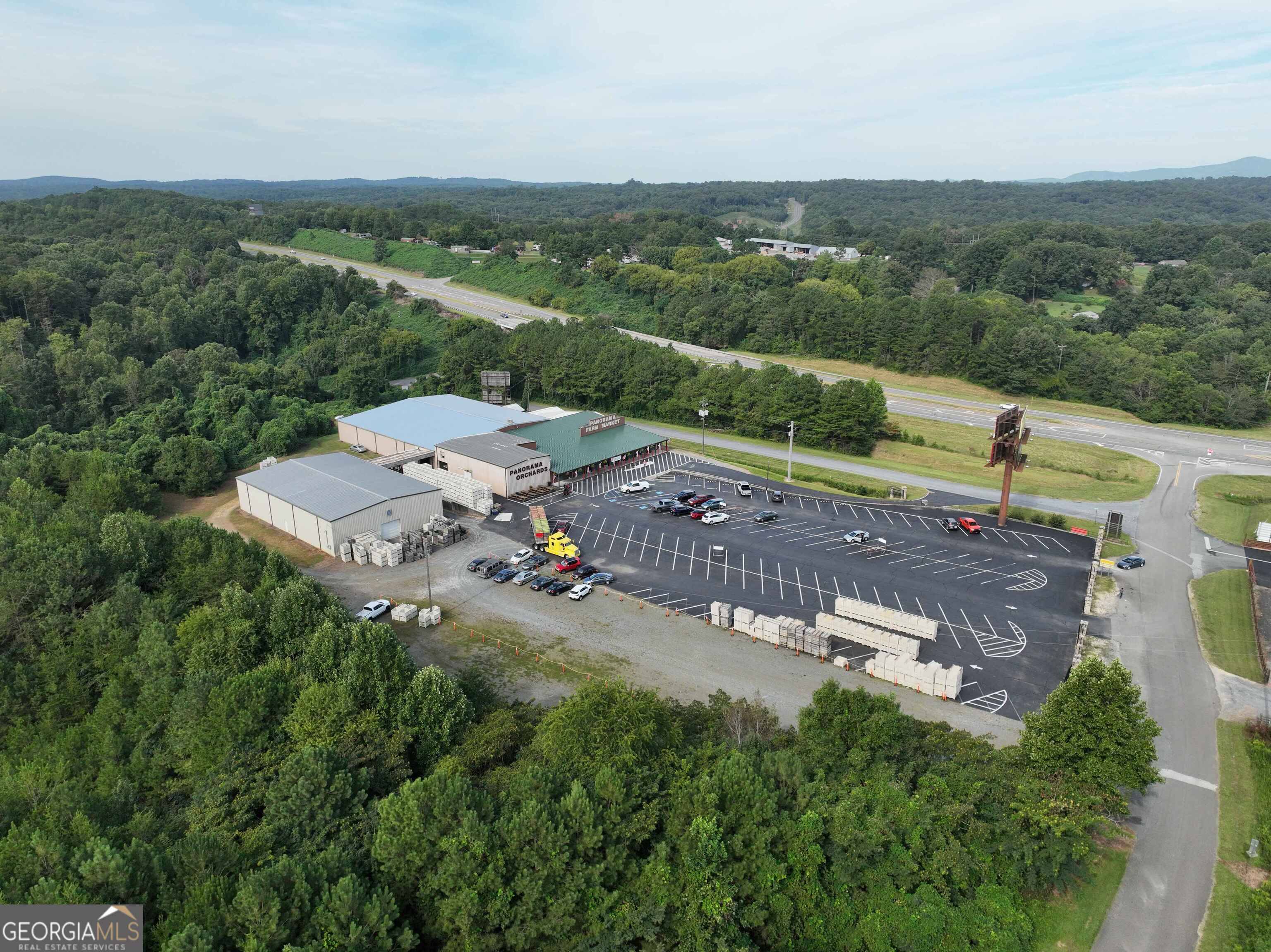 Ellijay, GA 30536,63 Talona Spur RD