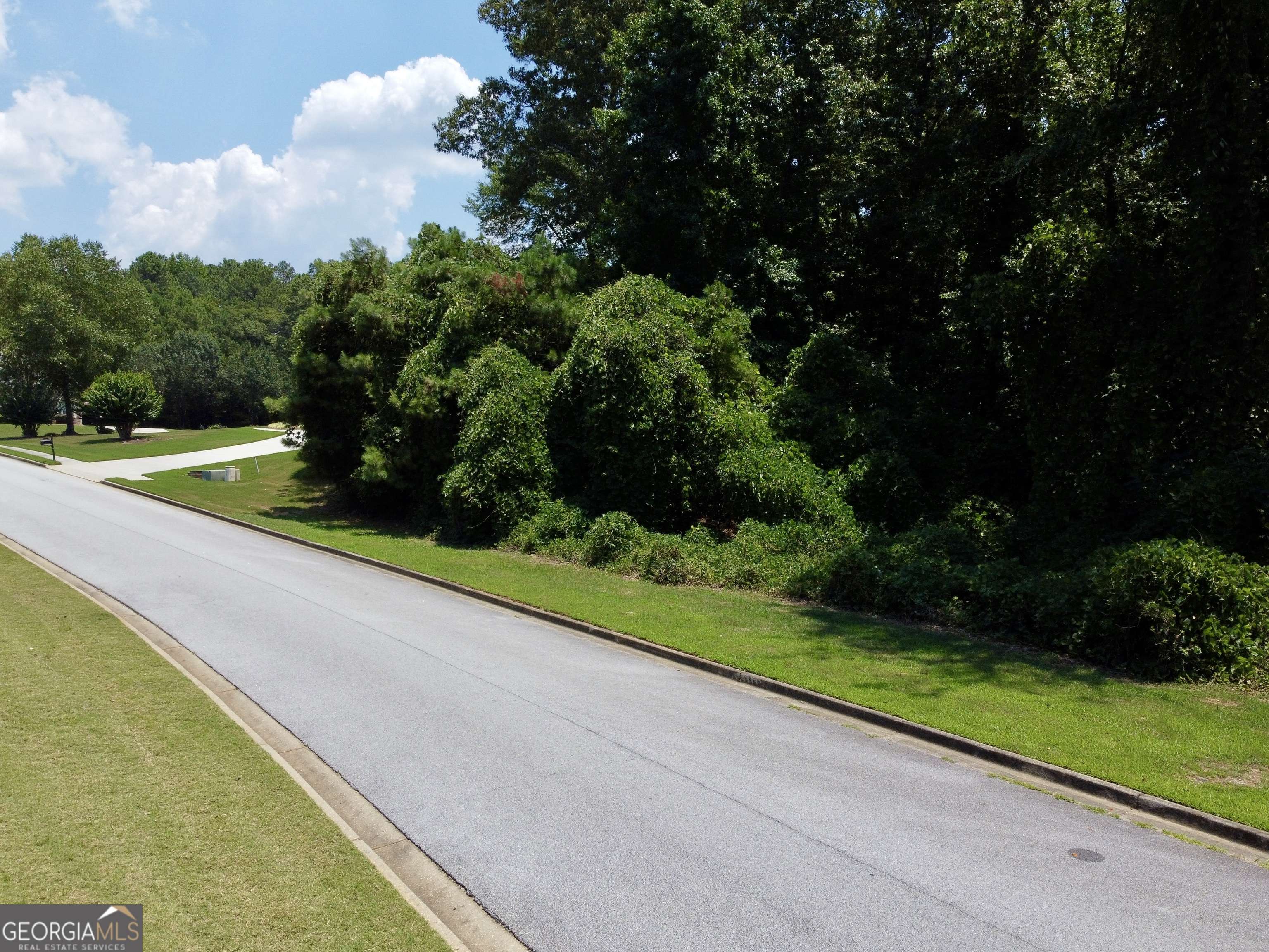 Stockbridge, GA 30281,2204 Misty Creek SW TRL