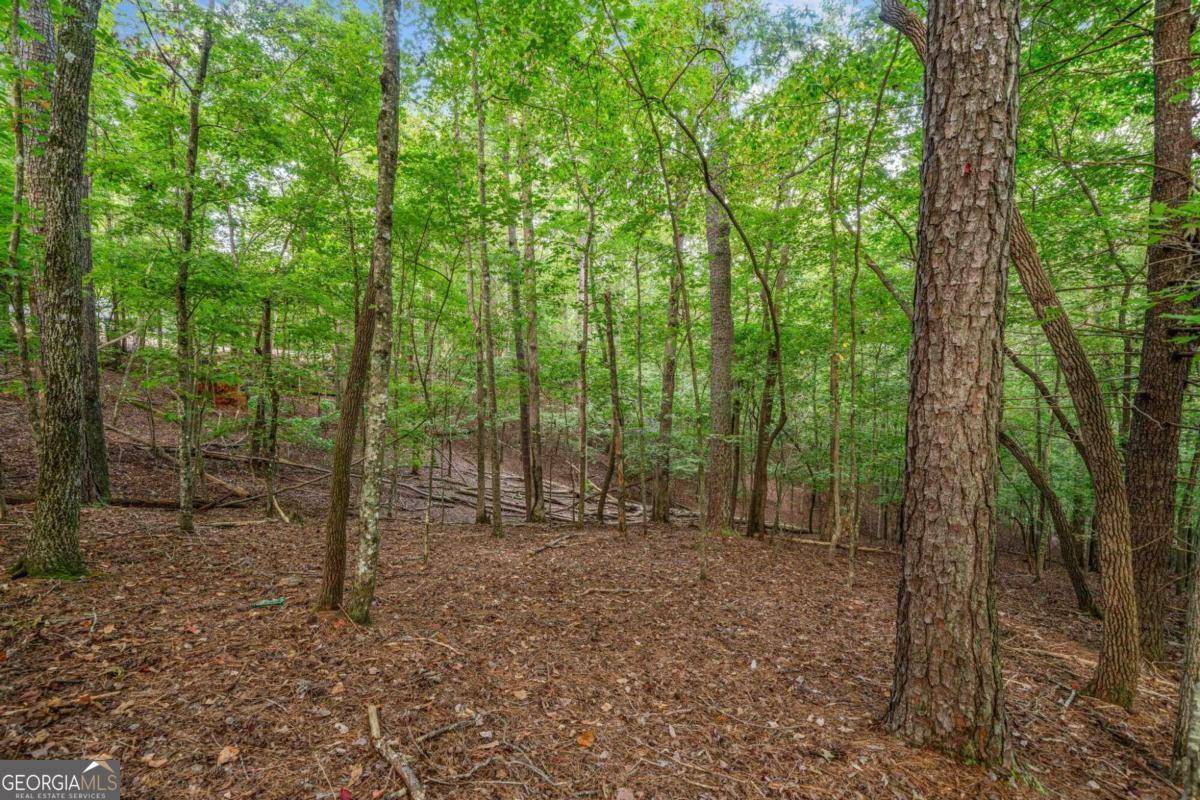 Ellijay, GA 30540,0 Gunite CIR