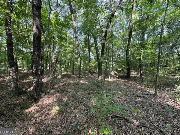 Juliette, GA 31046,0 Rivermist RD