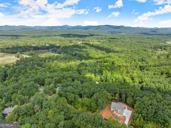 Cleveland, GA 30528,LOT 21 Long Mountain TRL