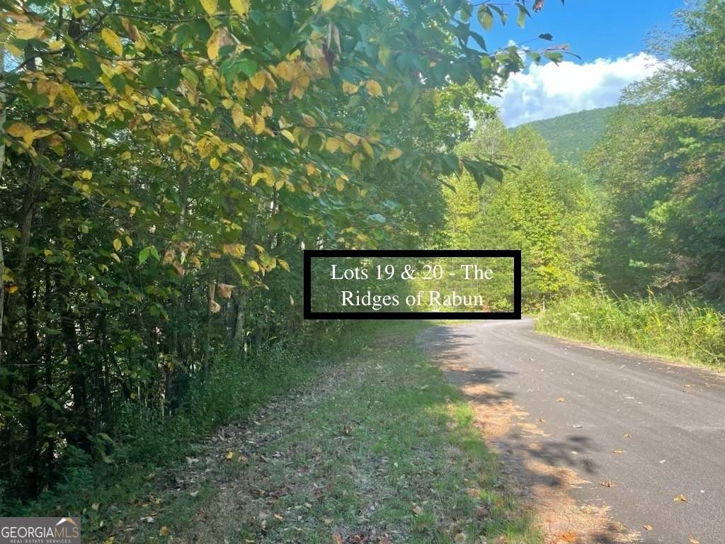 LOTS 19 & 20 Shake Hollow RD, Rabun Gap, GA 30568
