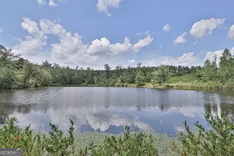 Buena Vista, GA 31803,0 Pineville RD