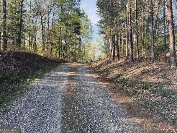 Ranger, GA 30734,1675 Hunter DR