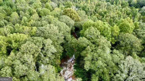 Bowdon, GA 30108,0 Stateline Road