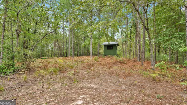 Buena Vista, GA 31803,0 GA HWY 352