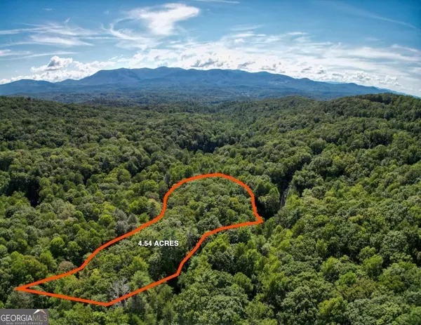 14 & 15 Big Ben RD,  Ellijay,  GA 30540
