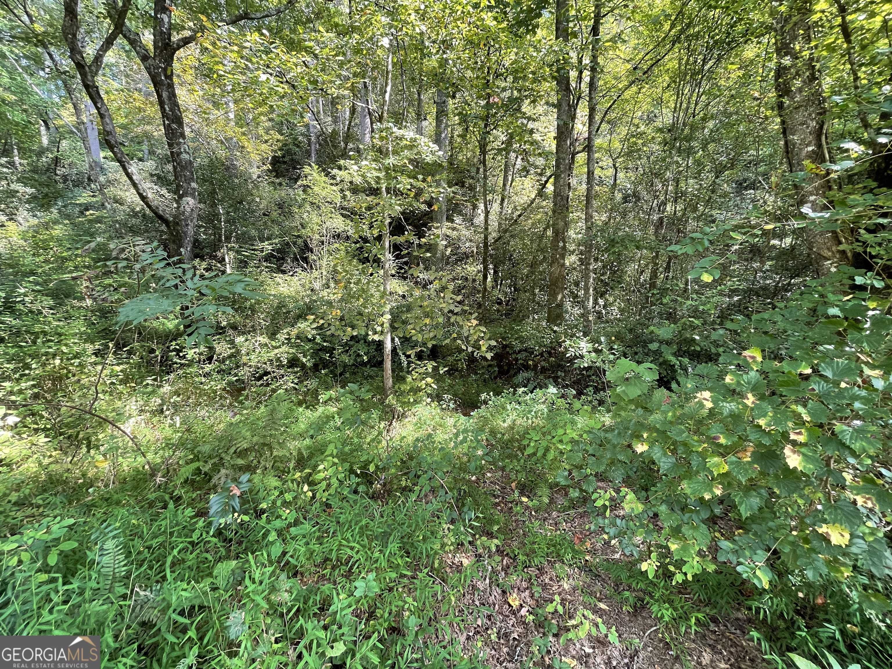 Lakemont, GA 30552,0 West Wolf Creek