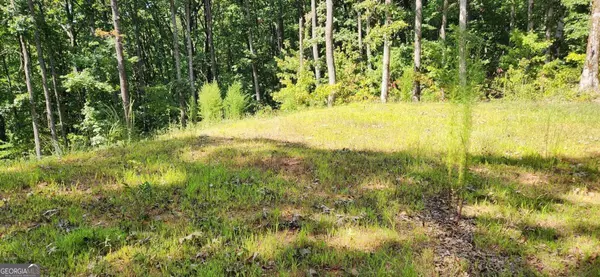 Ellijay, GA 30536,2234 S Piney Spur RD