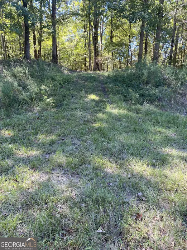 Buckhead, GA 30625,89 Heidi TRL