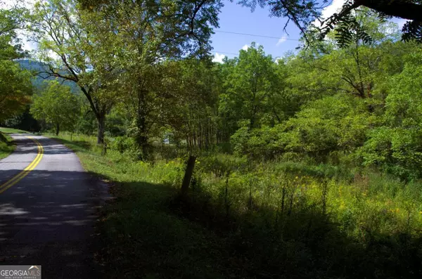 Blairsville, GA 30512,TRACT 1 Fortenberry RD
