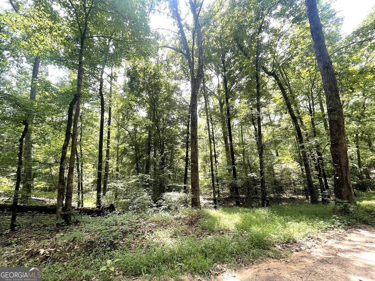 Elberton, GA 30635,0 Stinchcomb RD