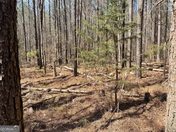 Franklin, GA 30217,0 Joe Cook RD #LOT 1