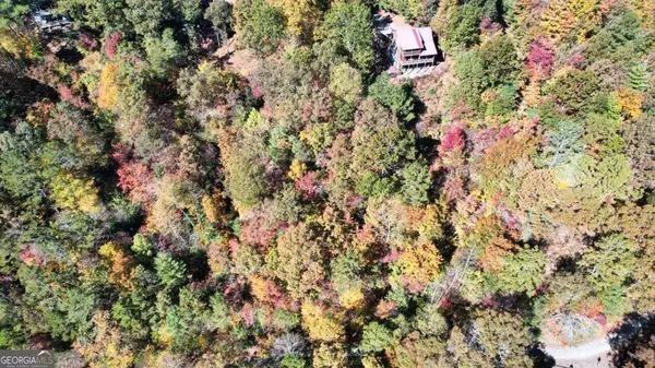 Ellijay, GA 30540,LT2159R Pacer CT