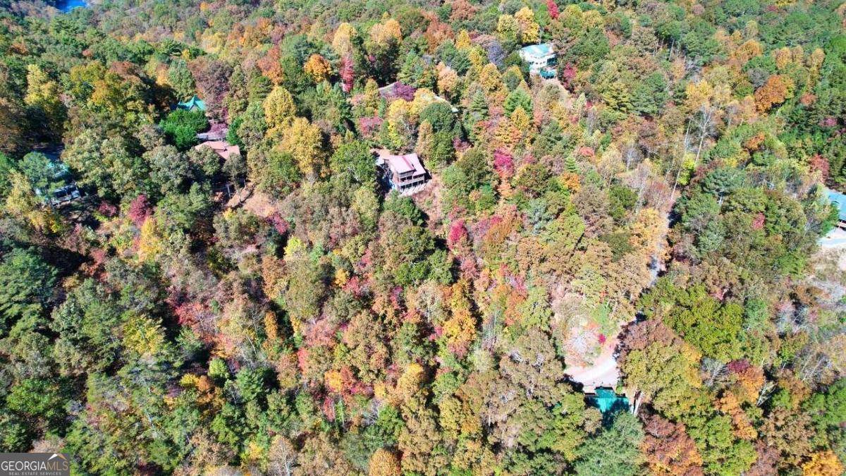 Ellijay, GA 30540,LT2159R Pacer CT