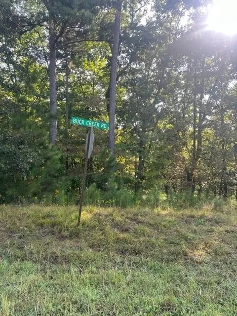 Ellijay, GA 30540,LT 32 Buck Creek RD
