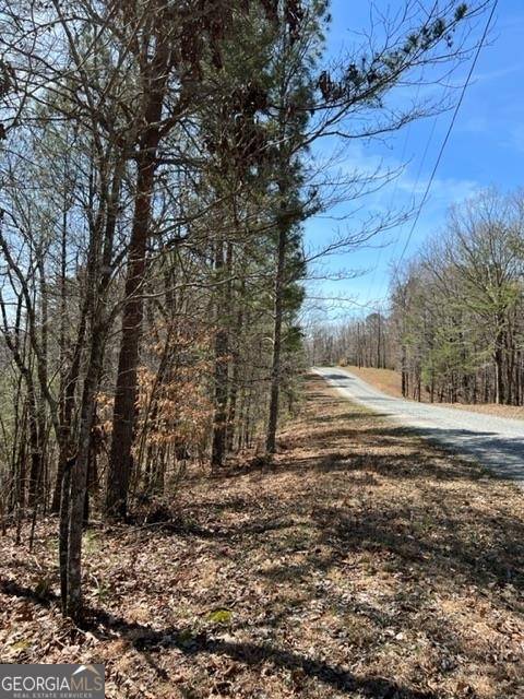Ellijay, GA 30540,LT 4 Hunters RDG