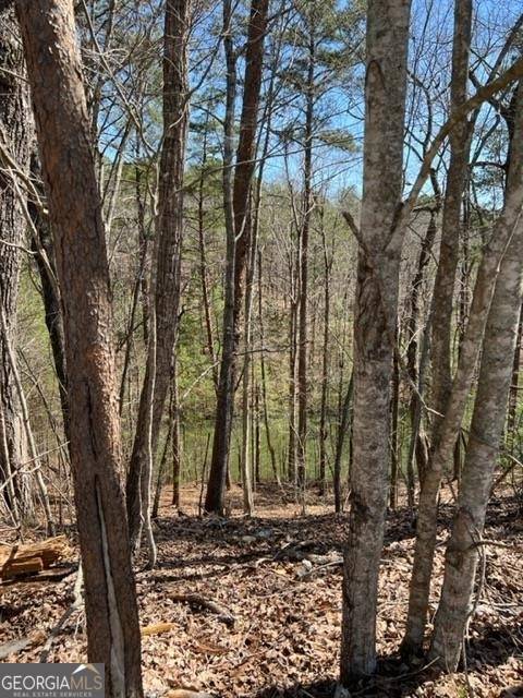 Ellijay, GA 30540,LT 4 Hunters RDG