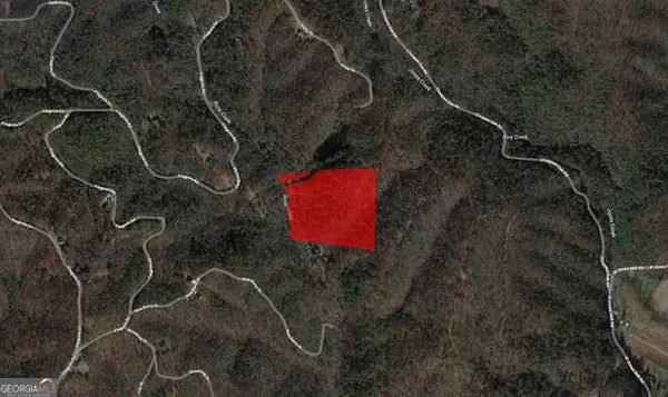 Ellijay, GA 30540,9.9 ACRES Ross Creek