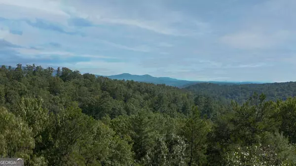 Ellijay, GA 30540,9.9 ACRES Ross Creek