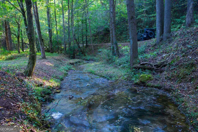 Ellijay, GA 30540,9.9 ACRES Ross Creek