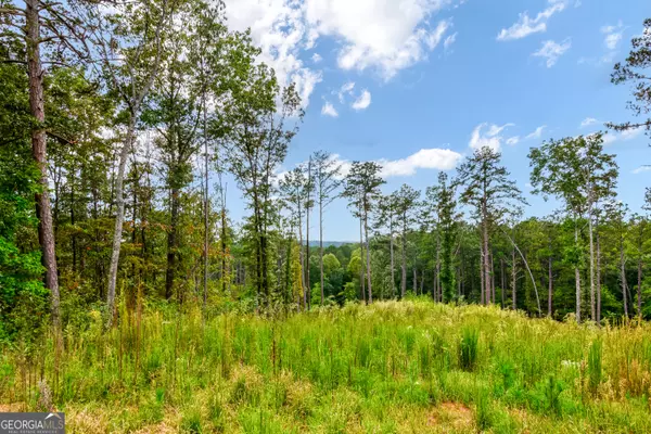 Talking Rock, GA 30175,LOT 92 Blalock Mountain RD