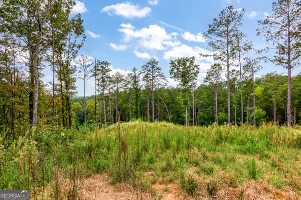 Talking Rock, GA 30175,LOT 92 Blalock Mountain RD