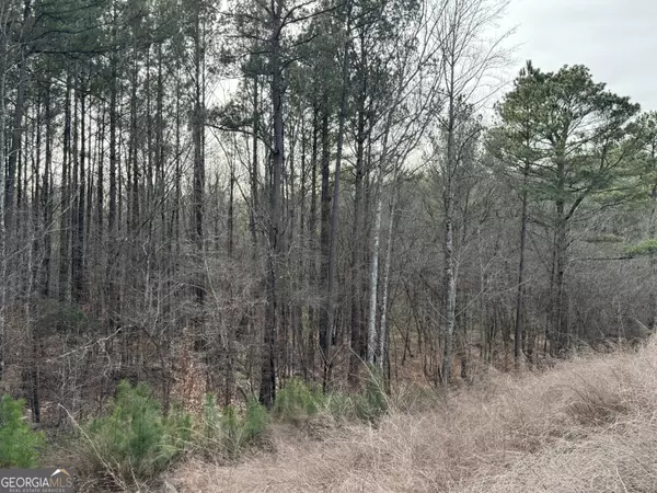 Crawfordville, GA 30631,0 Bethany Church RD