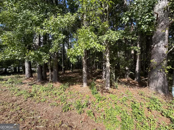 Rutledge, GA 30663,3641 Davis Academy RD