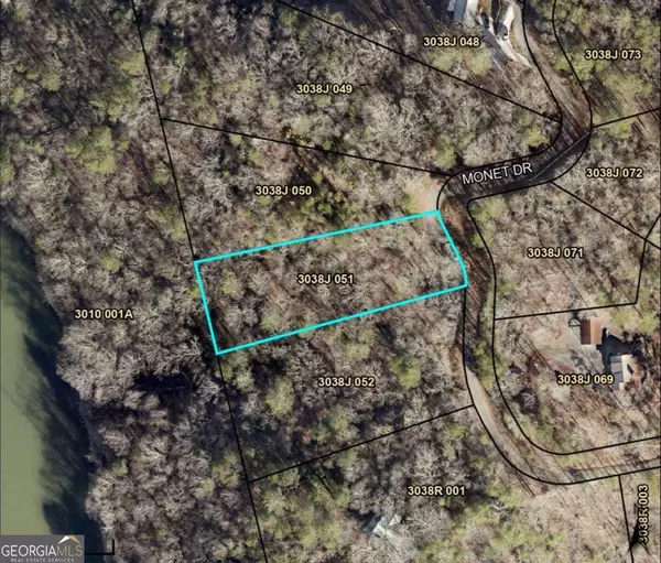 Ellijay, GA 30540,LOT 1125 Monet