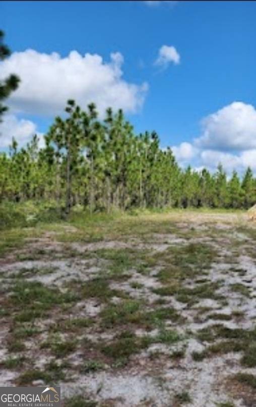 Folkston, GA 31537,491 BOULEVARD ST