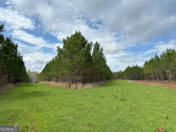 Lexington, GA 30648,300 Duck Pond RD